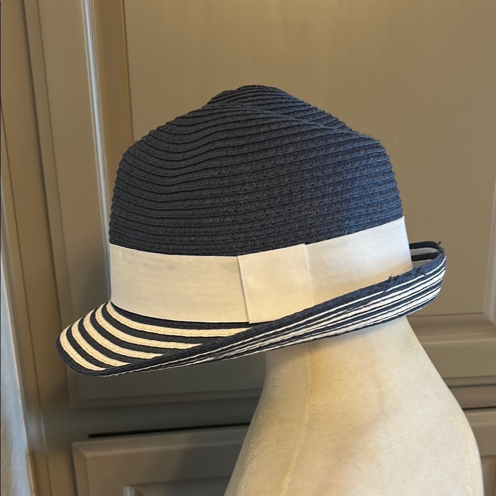 Blue and White Striped Fedora